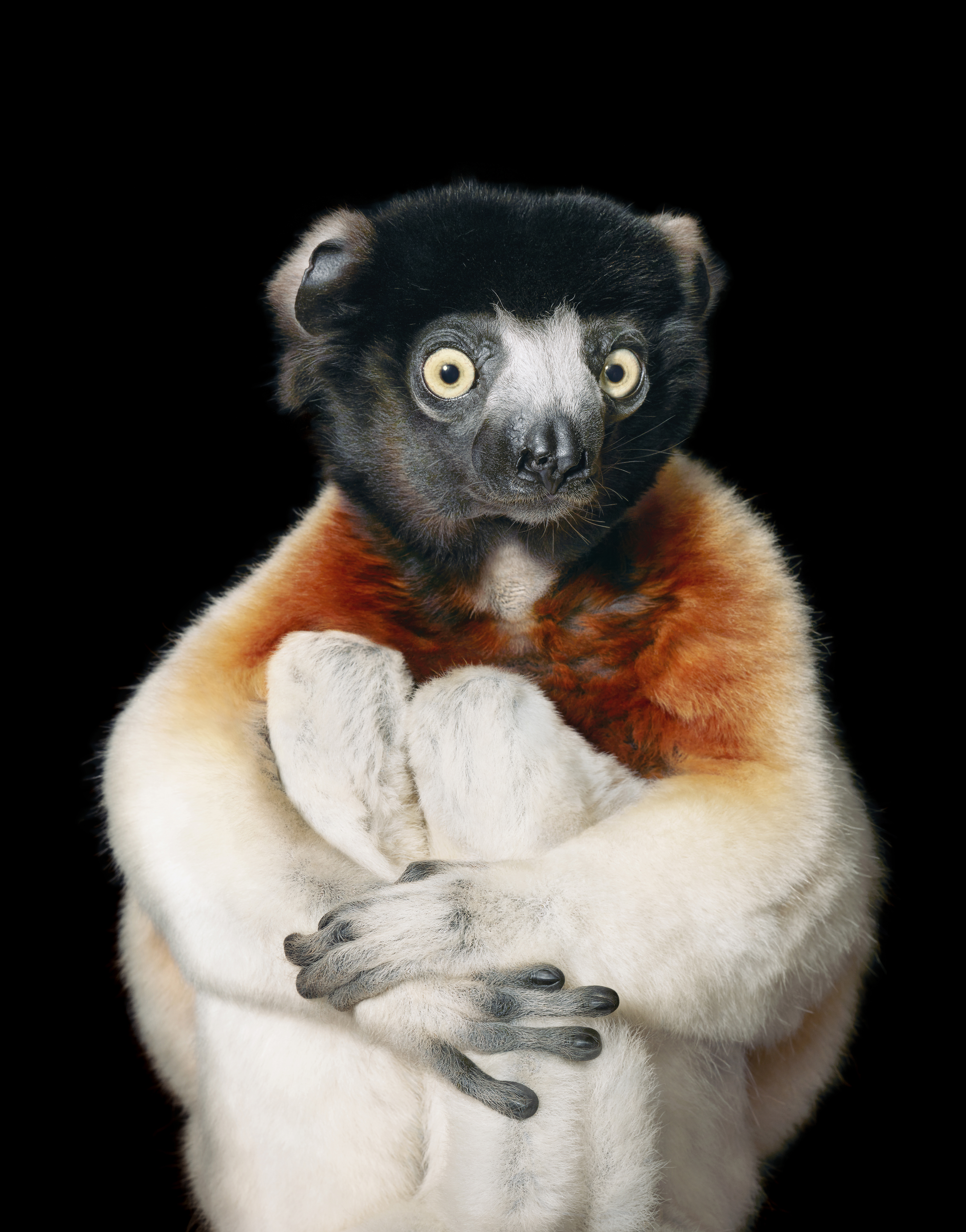 Tim Flach