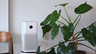 Best air purifiers for allergies