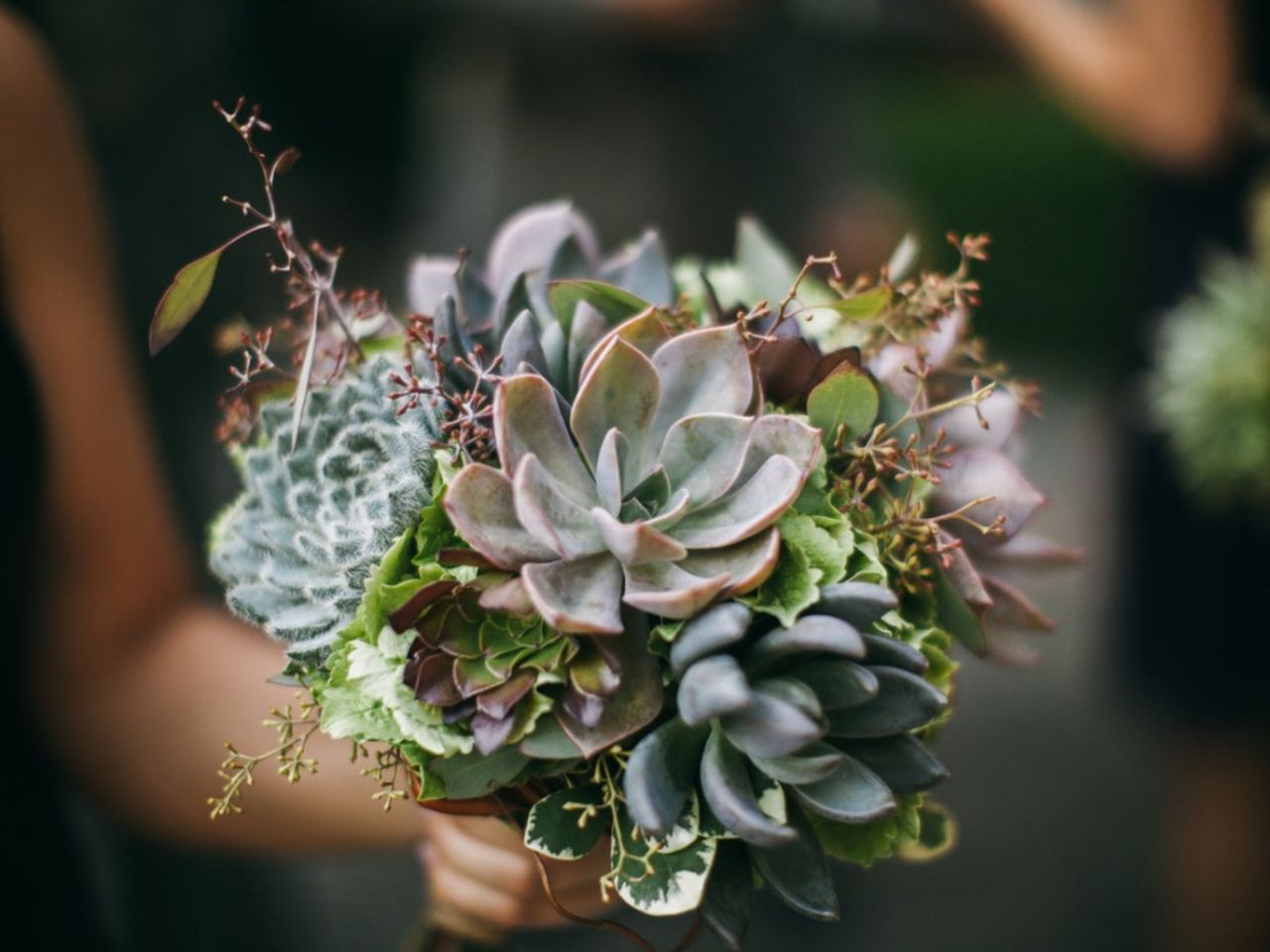 Person Holding A DIY Succulent Bouquet