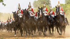 The-Household-Cavalry-Mounted-Regiment.jpg