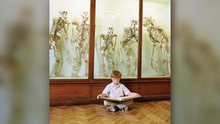 A boy sits in front of museum skeletons