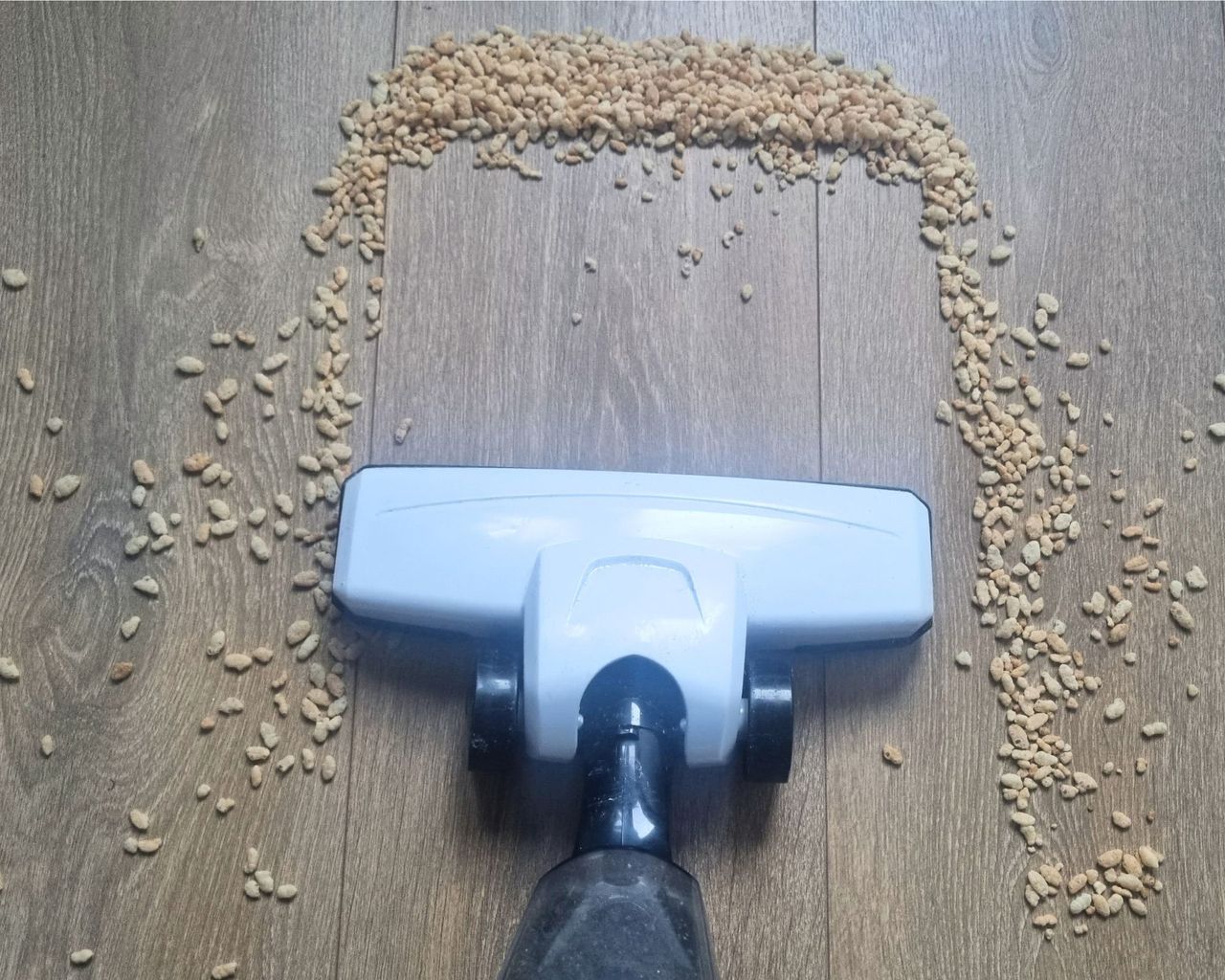 A white vacuum suctioning up rice krispies on a wooden floor