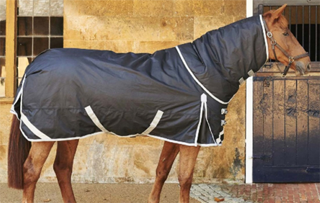2derbyhousereviewrug-copy.jpg