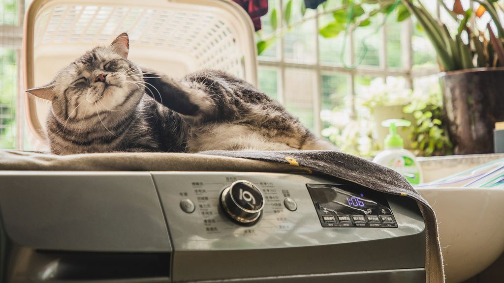 What are the quietest washing machines? Top Ten Reviews