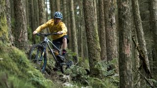 Mixed wheel size mountain bike being ridden in forest
