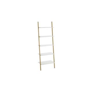 Lacuna Ladder Bookcase