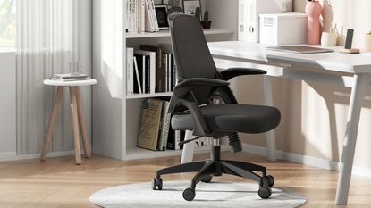 Amazon office chairs in modern desk room