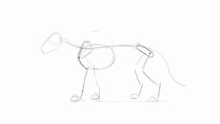 legs and outline of lion: how to draw a lion