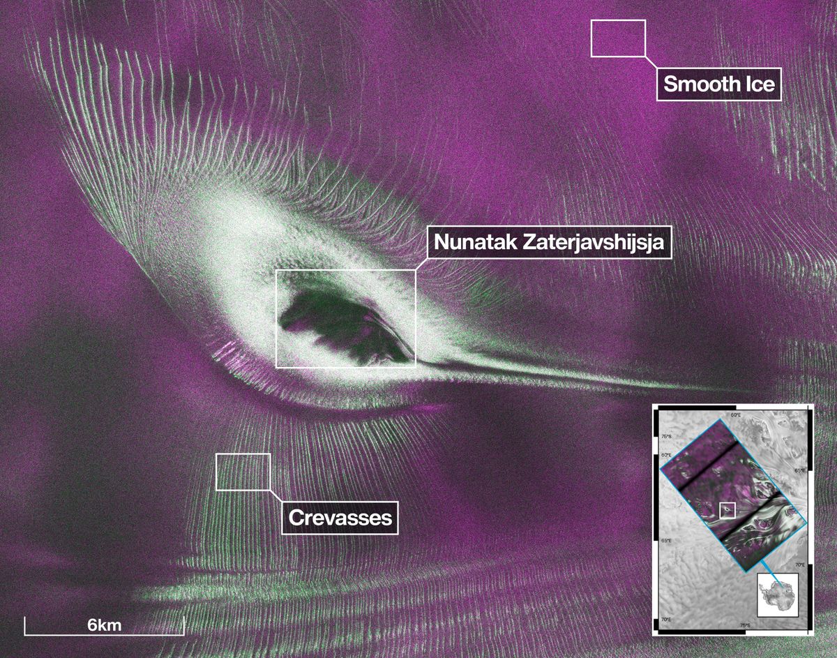 Satellite image depicting form of a bird in Antarctic ice surface.