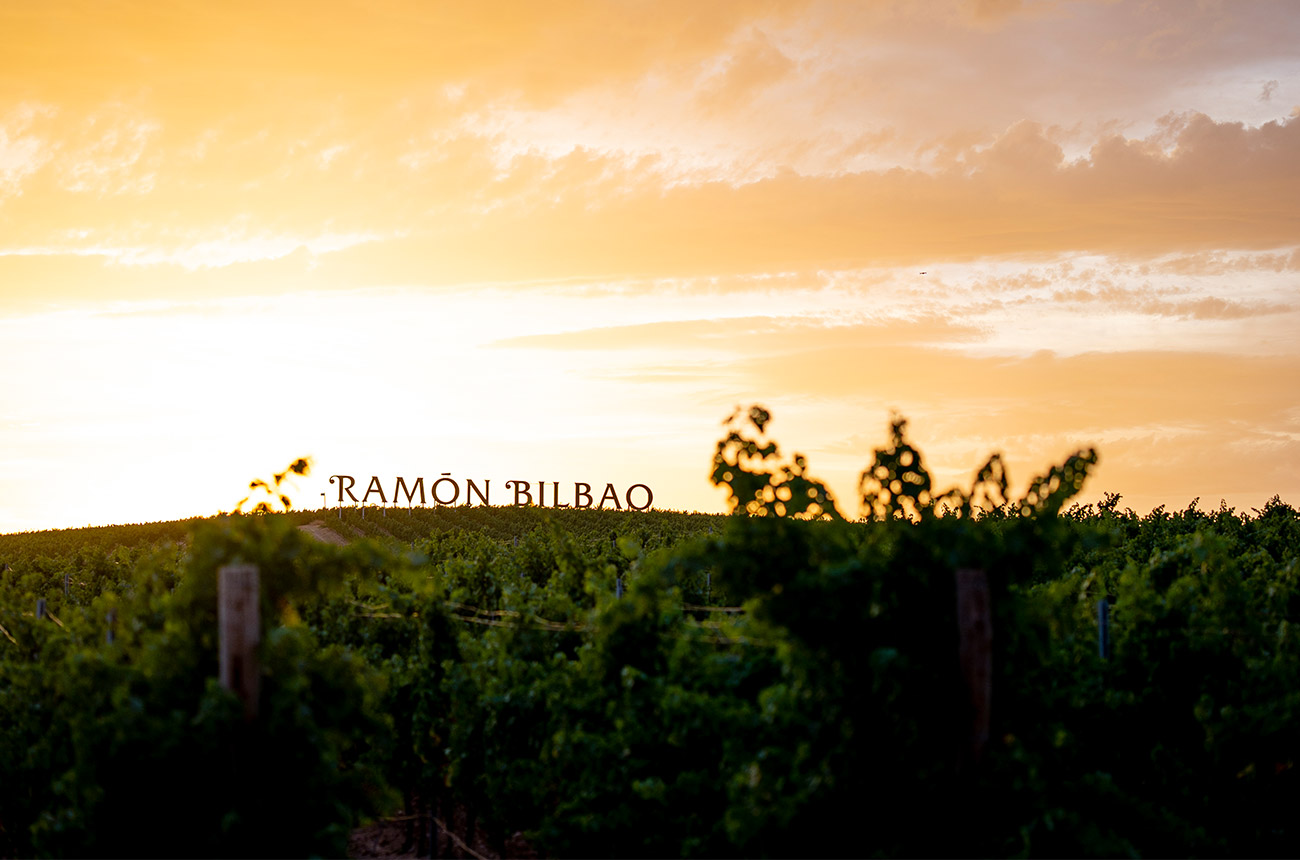 The Ram&oacute;n Bilbao vineyards