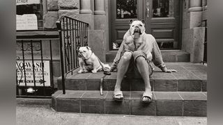 A person in casual clothes sits on steps, holding a bulldog; another bulldog rests beside them, both gazing ahead in black-and-white