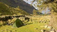 Tent pitched by stone wall, Lake District, UK