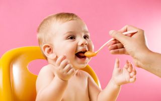 Baby food meal planner weaning 9 - 12 months