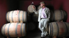 Wine tasting concept image showing a man holding up a glass of red wine in a cellar surrounded by barrels.