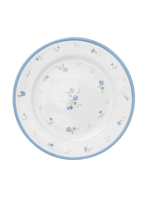 Hollingbury Melamine Outdoor Dinner Plates (set of 4)