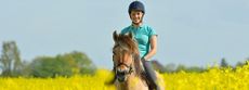 Using positive psychology to make you a better rider