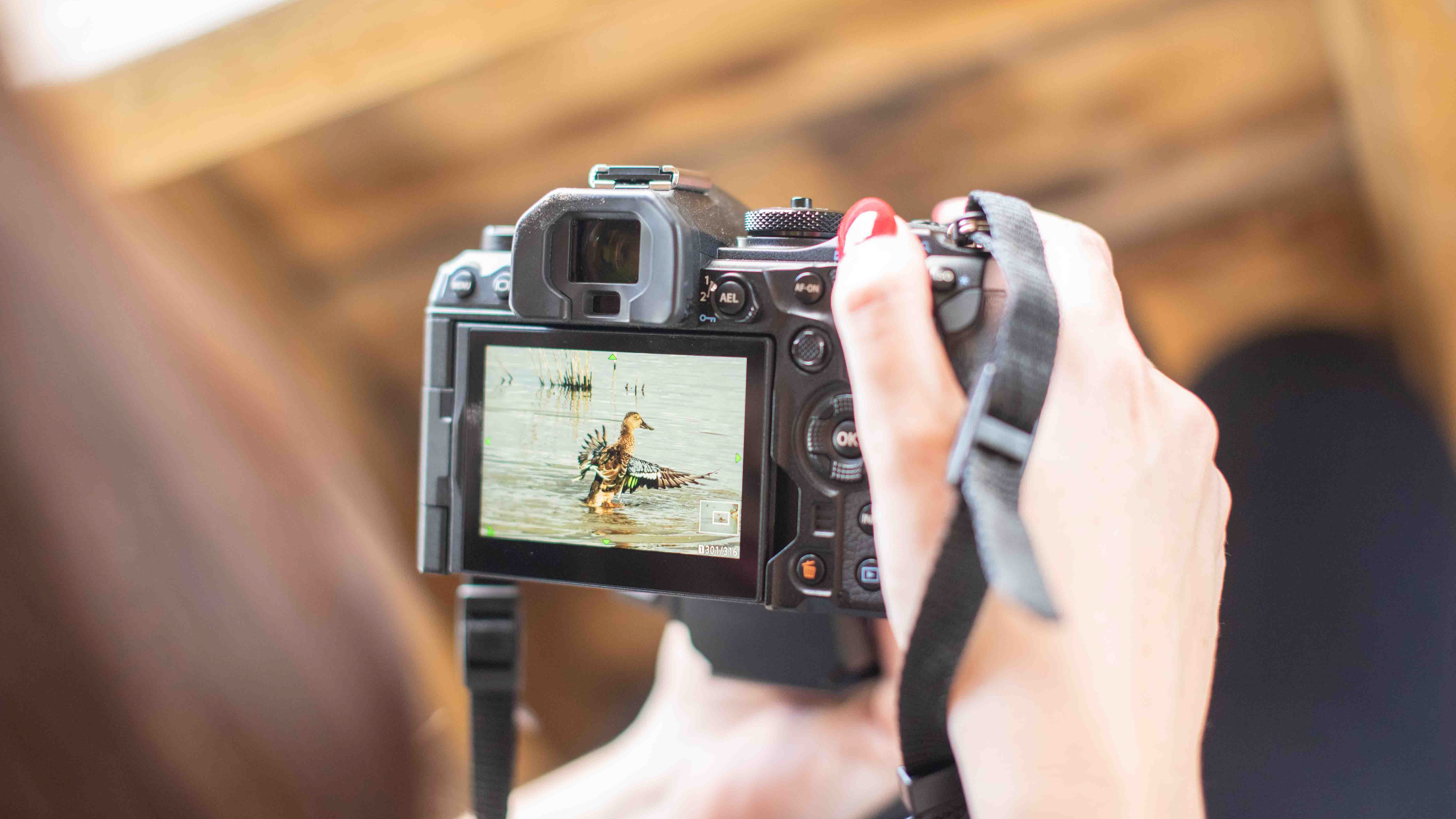 photographer looking at an image on the OM-1 Mark II LCD screen