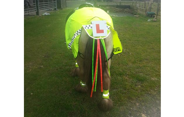 “This is my pony, Jazz. His hi-viz is so simple but it’s driver language that most understand and slow down for. I put L’s on my youngster as we have no one else to ride out with. He’s pretty good in traffic as he’s seen lots of it over the years but if you can get the cars to slow down it makes it that bit safer” — Nikki Hitchen