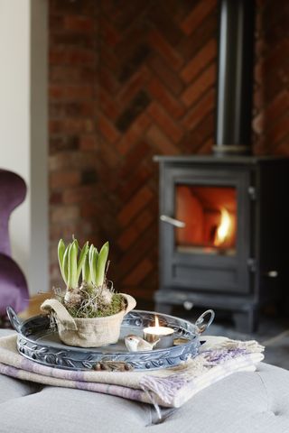 Wood burning stove with forced bulbs on tray