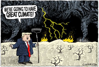Political cartoon U.S. climate change Trump California Camp Fire forest management rake
