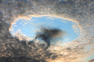 Gray Hole-Punch Cloud