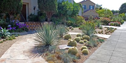 Cactus garden ideas: 12 ways to welcome these prickly plants into your ...