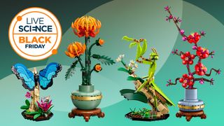 Lego Botanical sets and Lego Ideas Insect Collection on a green background with a Live Science Black Friday badge.