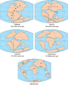 pangaea_gond_02