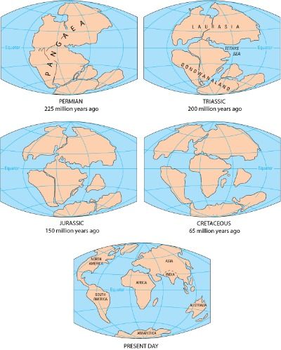 pangaea_gond_02