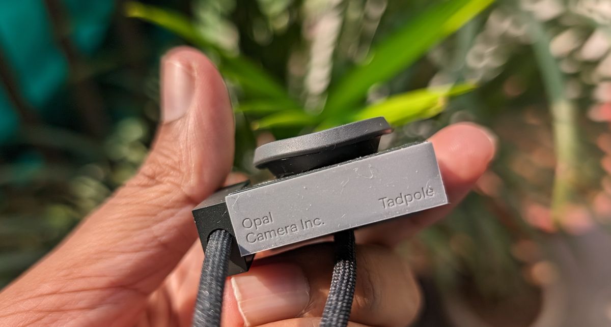 Sideview of Opal Tadpole webcam in hand to show small size