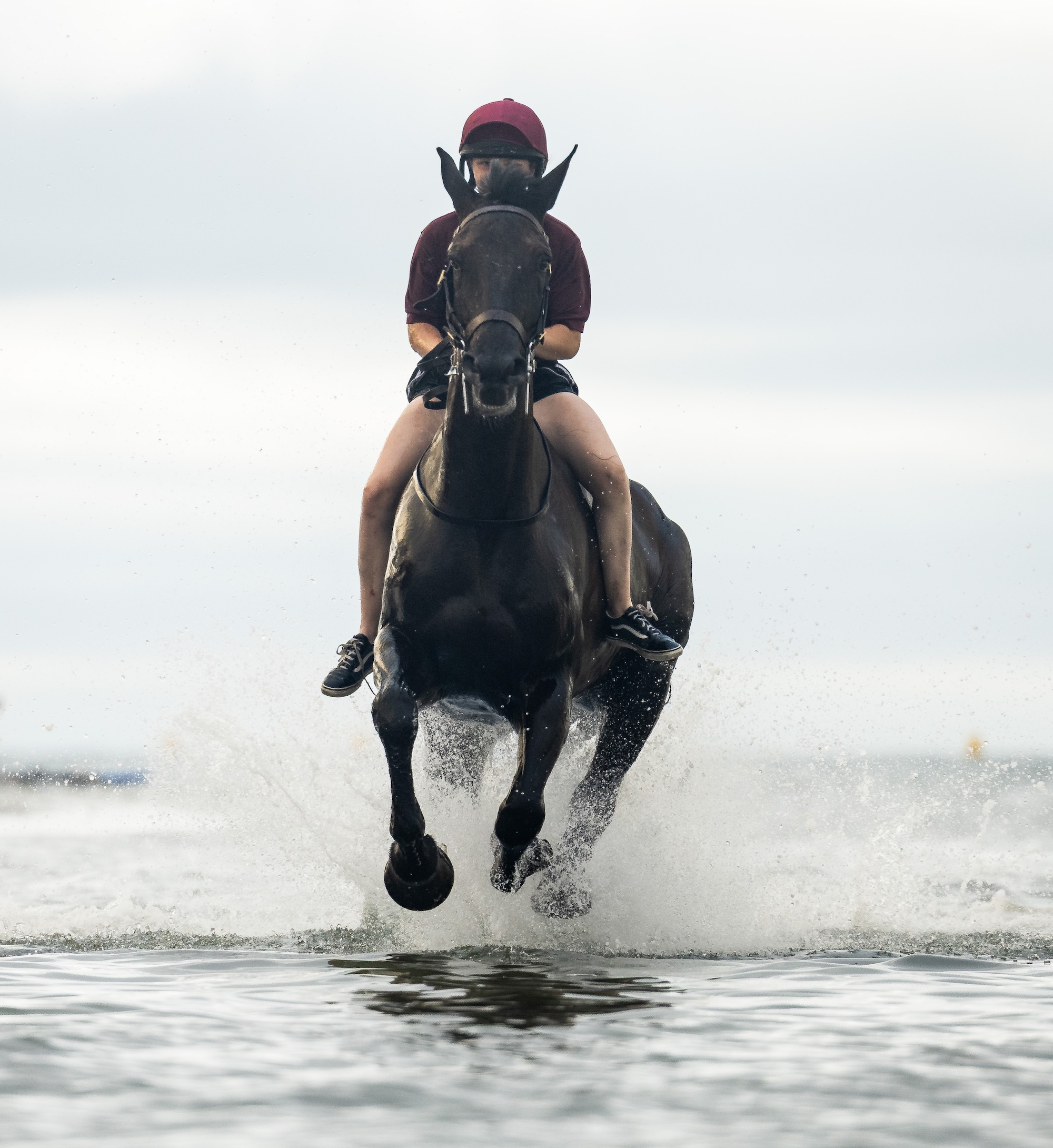 Soldiers and horses from the Household Cavalry Mounted Regiment at Hayling Island beach on Friday 3 July 2026.