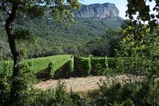 Hortus vineyards