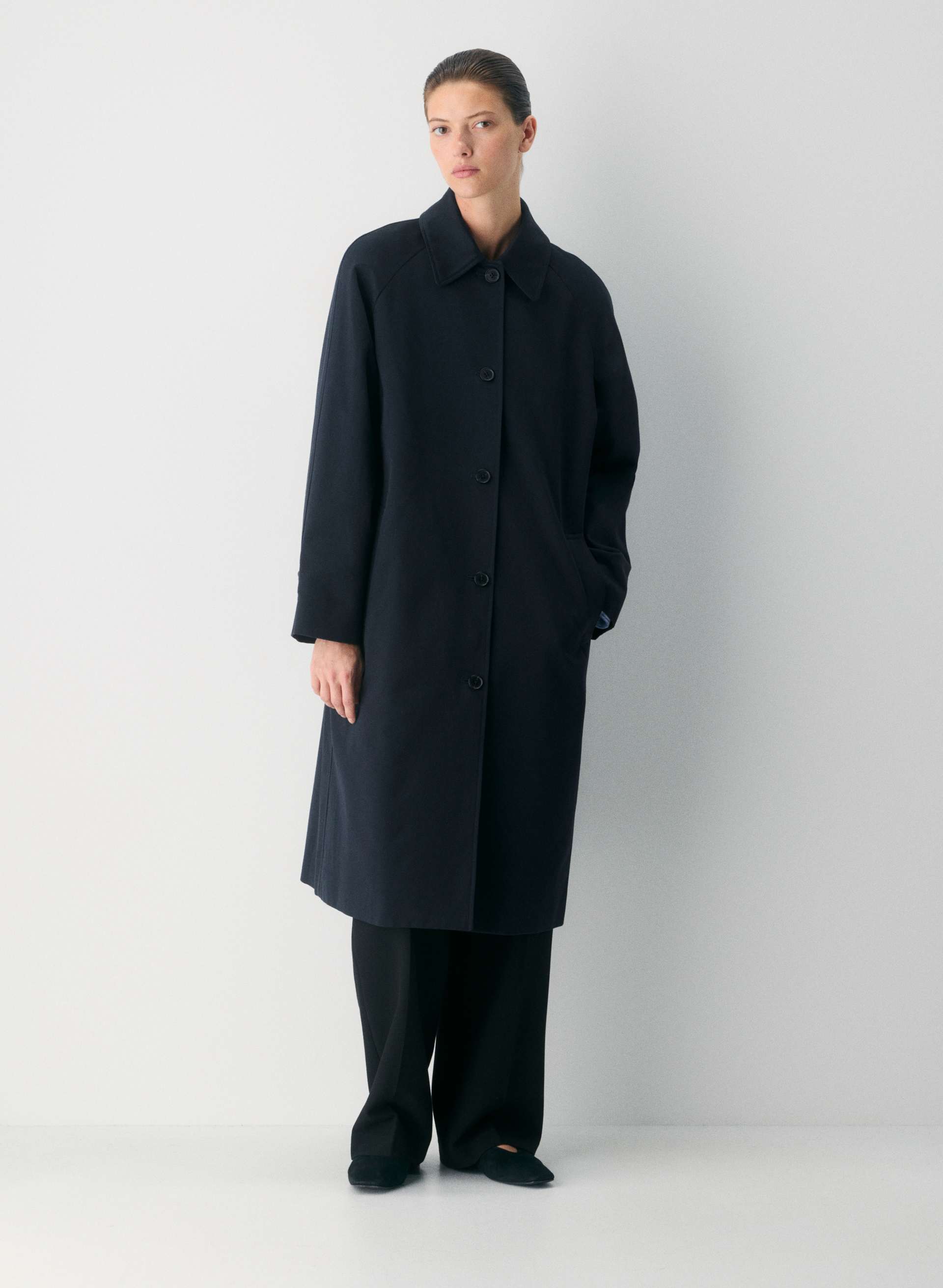 aritzia, 