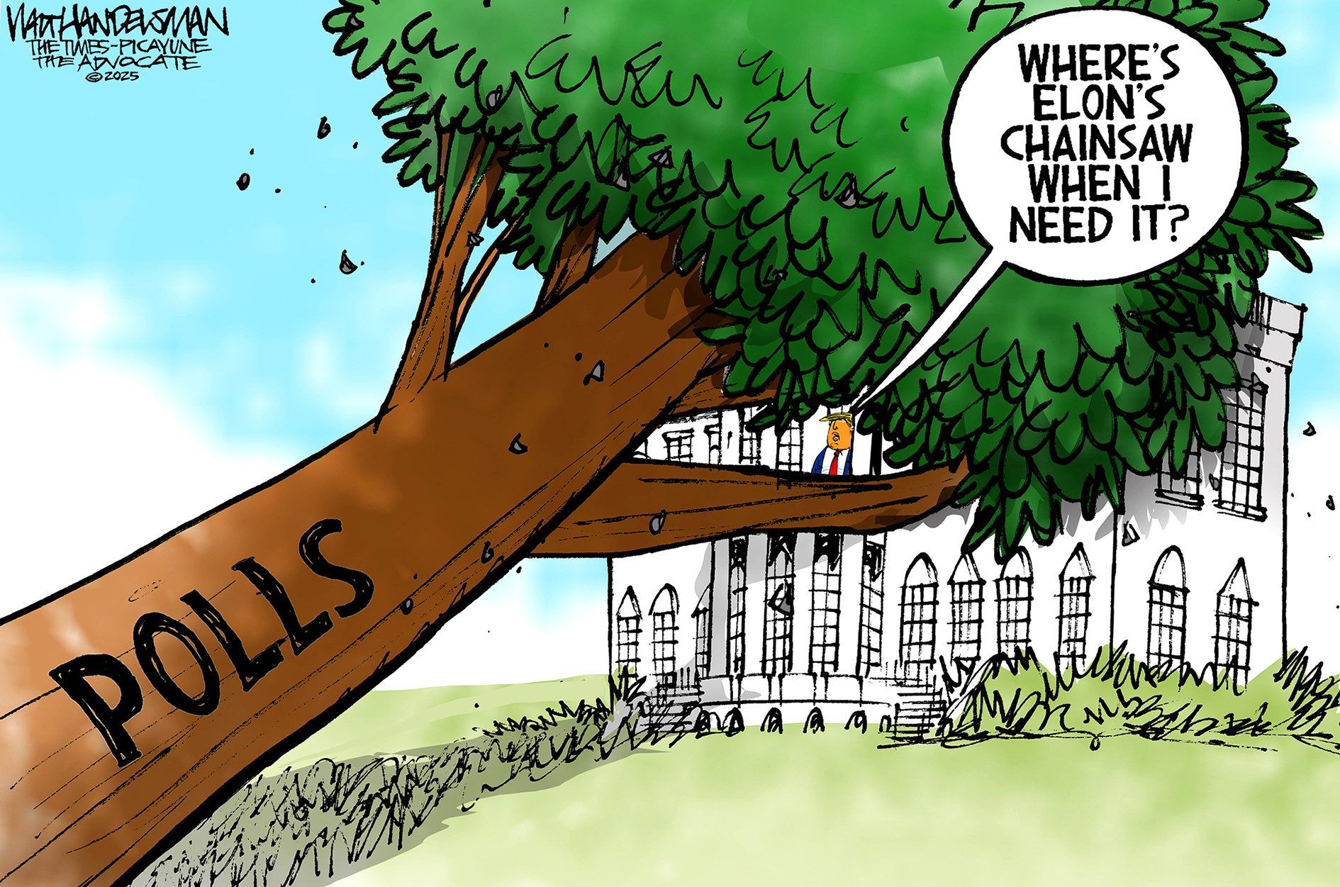 This cartoon depicts a giant tree labeled "POLLS" that has fallen on top of the White House. Donald Trump, seen in a window at the White House, says "Where's Elon's chainsaw when I need it?"