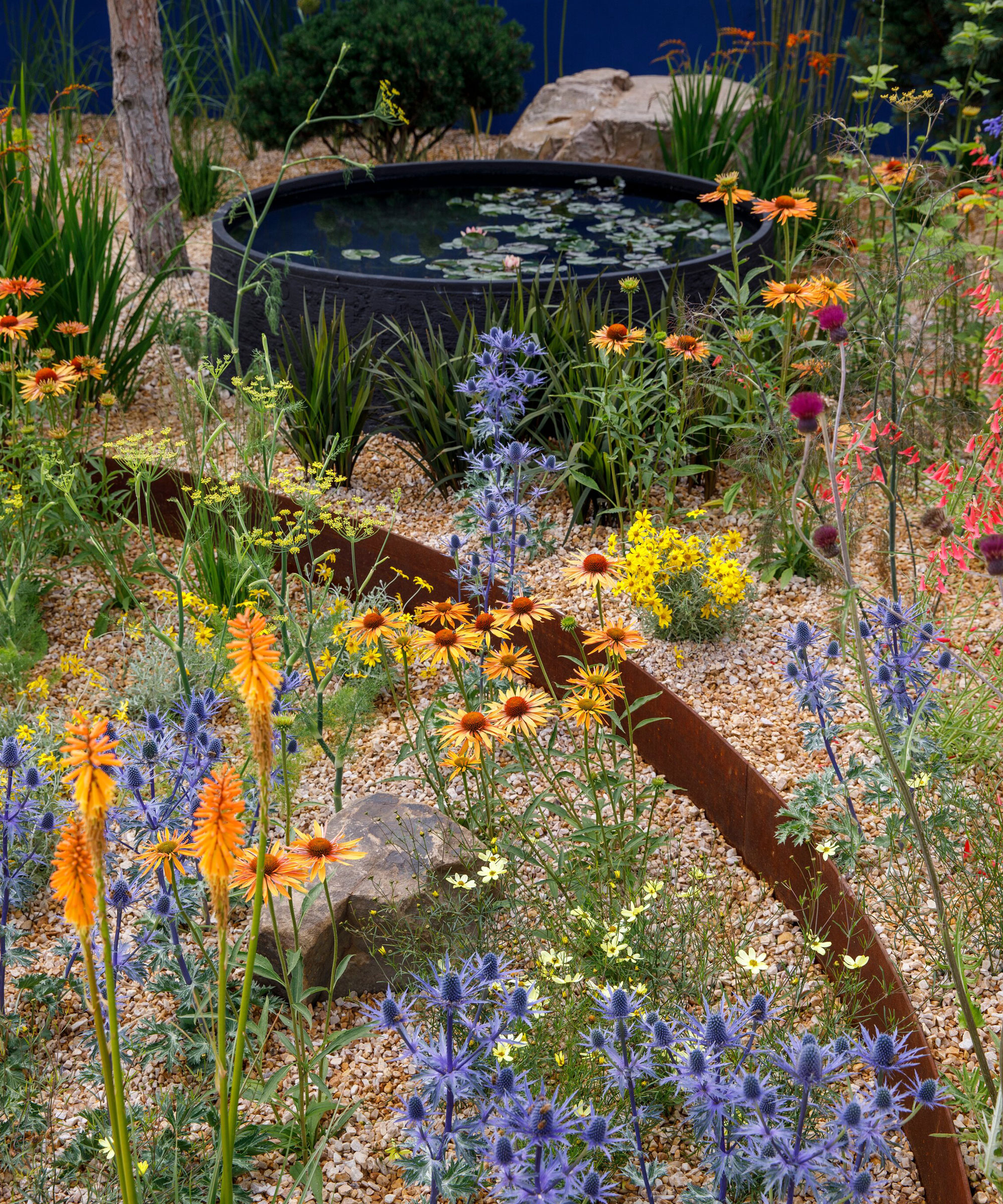 dry garden design with gravel, corten edging, water feature and rocks, with red hot pokers, eryngium and daisies