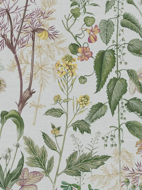 Edulis Sage Wallpaper, 32.81'