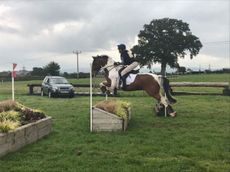fence-judging-bigger-e1508407093798.jpg