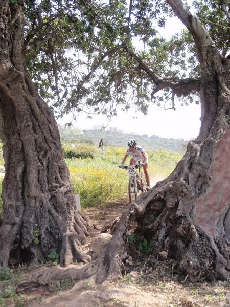 Maja Wloszczowska at the same tree