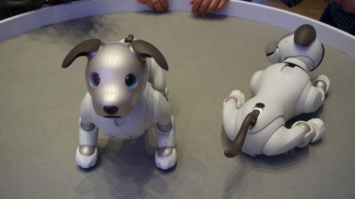 Hands on Sony Aibo review TechRadar
