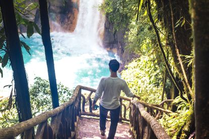 Man walking down steep wooden steps toward jungle waterfall