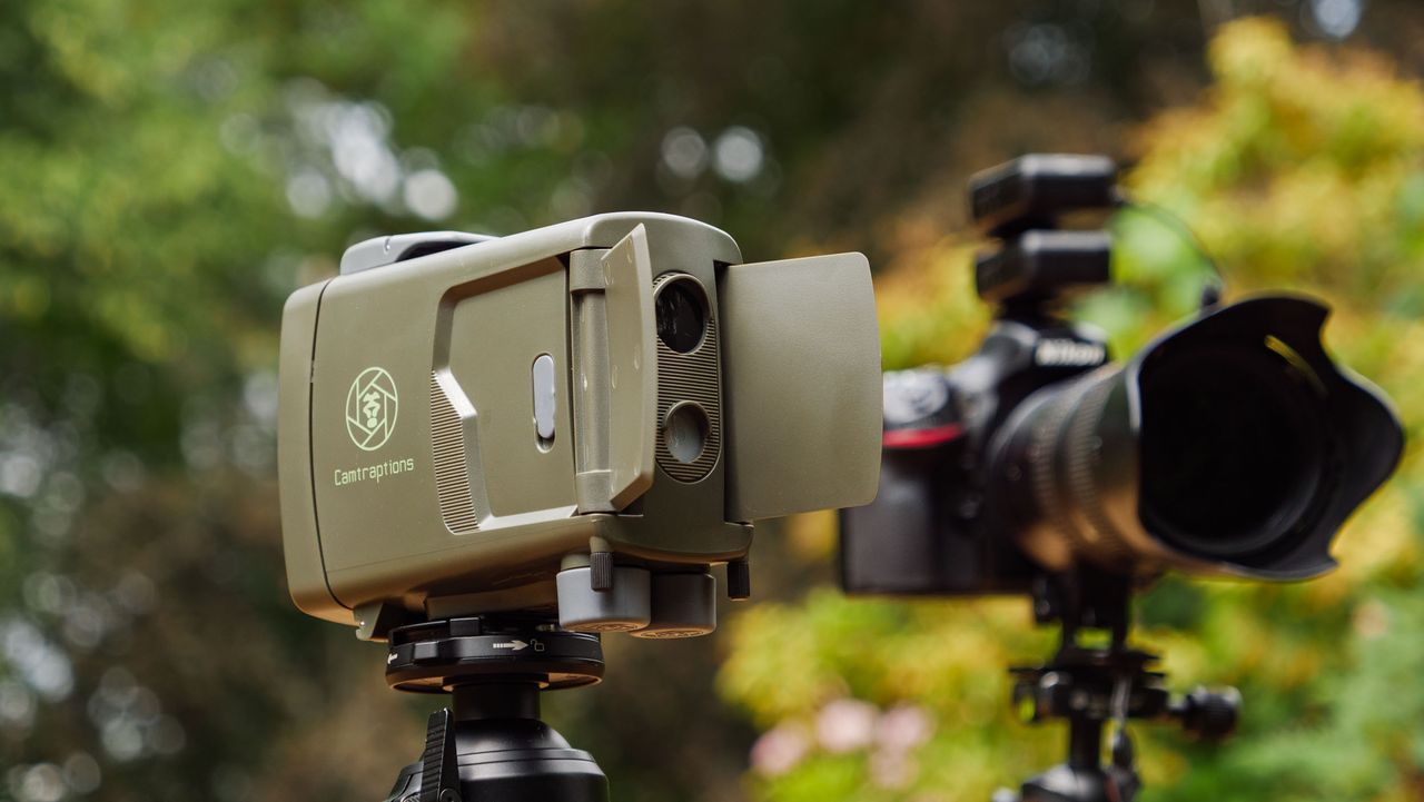 I tried a world renowned photographer’s award-winning camera traps — and captured my best garden wildlife photos yet