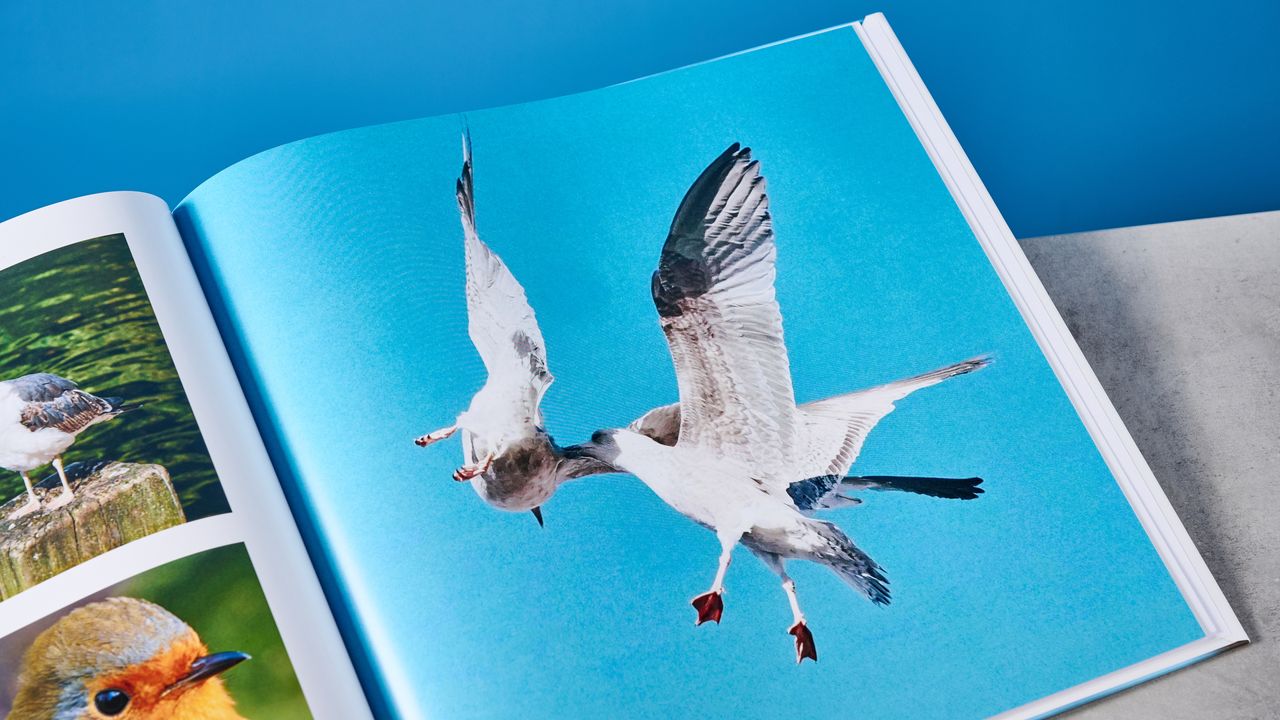 Mixbook Photo Book