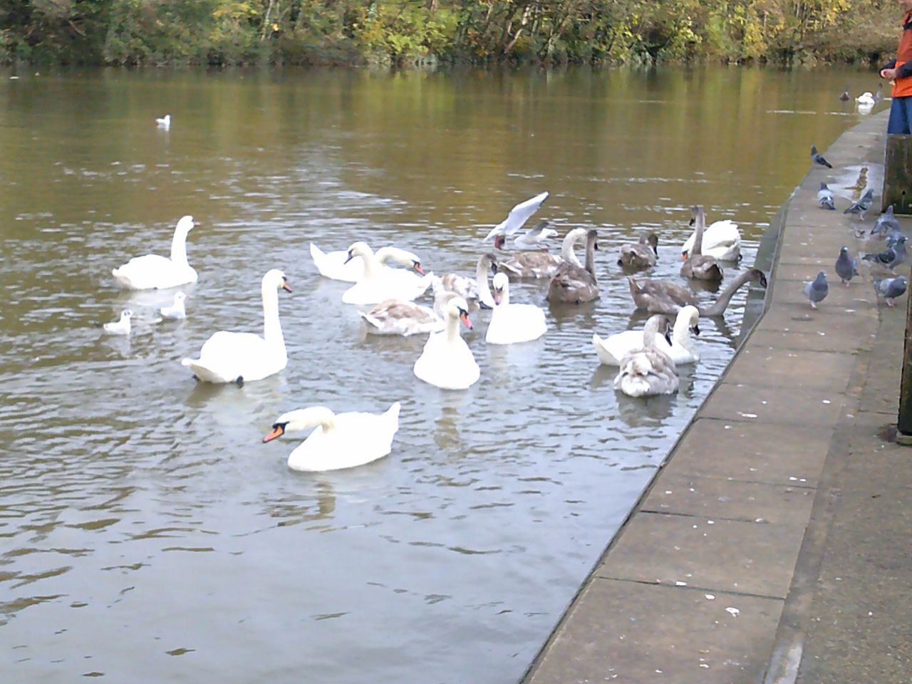 A photo taken on an AgfaPhoto Realishot DC5500 compact camera