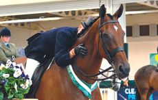 newbury retrained racehorses parade
