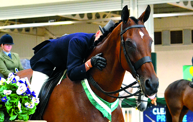 newbury retrained racehorses parade