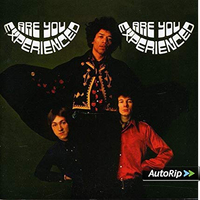 The Jimi Hendrix Experience -
