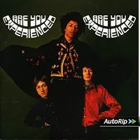 The Jimi Hendrix Experience - Are You Experienced? (Track, 1967)