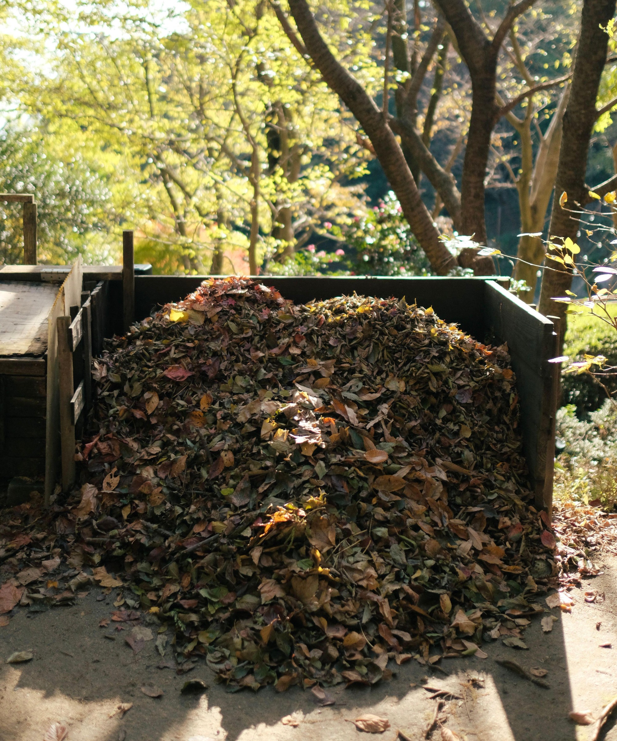 a pile of leaf litter in a timber frame in a garen