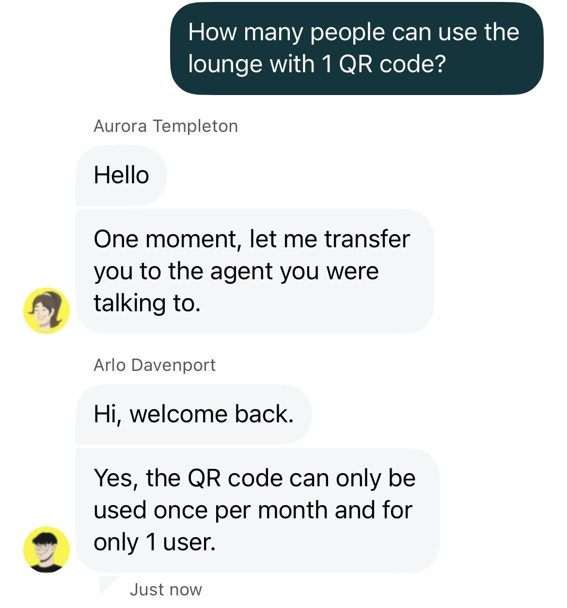 Saily customer support chat