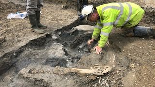 Археолог изкопава бивни на мамут.